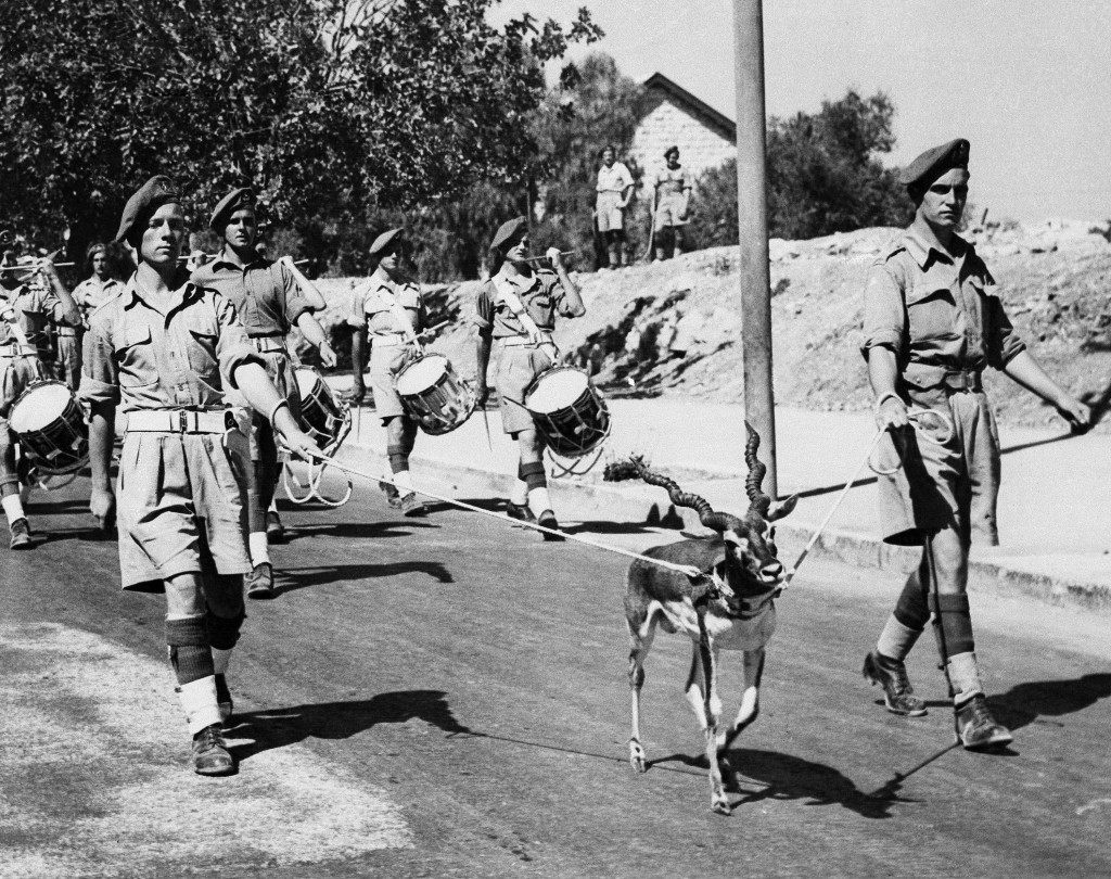 Private John Poolton, left, and William Hammond, right, both from Birmingham, England, hold Â“BobbieÂ”, as the black buck mascot of the Royal Warwickshire Regiment, marches at the head of the regimental band along King George Avenue in Jerusalem, Israel on Oct. 18, 1947. (AP Photo) Ref #: PA.10408029  Date: 18/10/1947