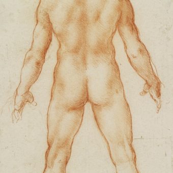 Leonardo Da Vinci Vinci Amboise A Male Nude C