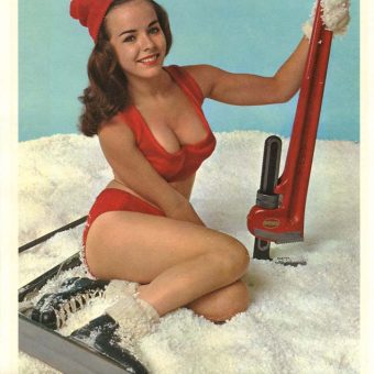 The pin-ups of Rigid Tools (the subtle photos)