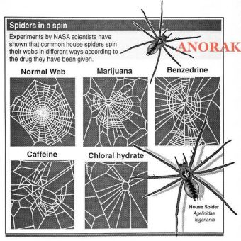 1985: House spiders on drugs