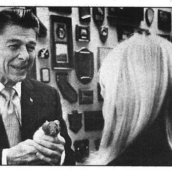 1975: Ronald Reagan’s pet mouse threatens Presidential bid