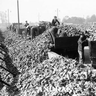 Sugar rationing in World War 2 – photos