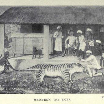 How I Killed The Tiger – Being An Account of My Encounter With A Royal Bengal Tiger: Pictures From a 1902 Hunt