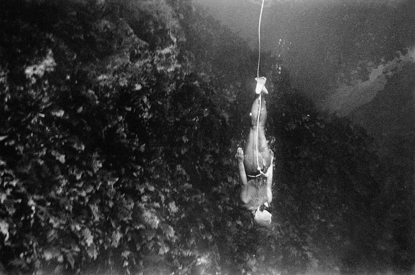 Japan #39 s Mermaid Pearl Divers In Photos 1950s Flashbak