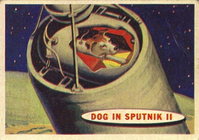 laika space dog