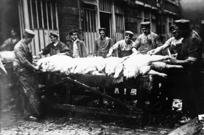 German army slaughtered pigs at Lille, France during World War I, in an undated photo.