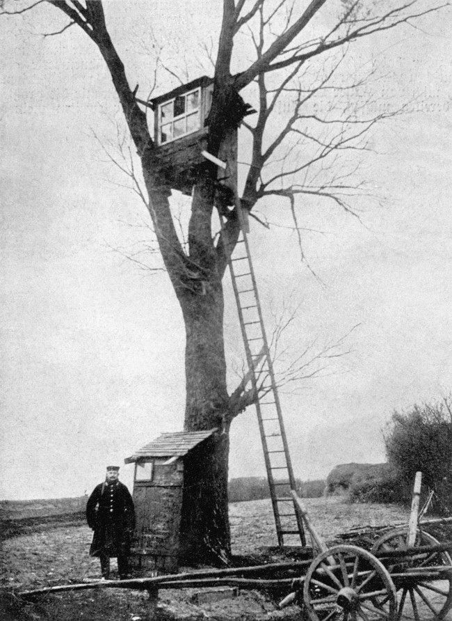 A German Army observation post in a tree.