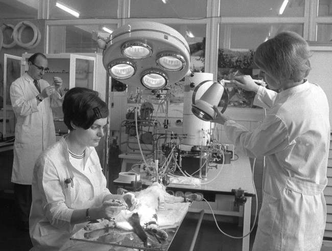  An April 21, 1969 photo from files showing a view of a laboratory of the pharmaceutical company "Chemie Gruenenthal", in Stolberg, near Aachen, West Germany, during an animal experiment April 21, 1969 as prosecuters came to inspect the manufacturer of the drug Thalidomide, which was prescribed by doctors as harmless sleeping drug to pregnant women and caused the miscarriage and birth of thousands of crippled children. The maker of a notorious drug that caused thousands of babies to be born with shortened arms and legs or no limbs at all in the 1960's has finally apologized. Thalidomide was given to pregnant women to combat morning sickness but led to a wave of birth defects in Europe, Australia, Canada, Japan and the U.S. Despite the words of contrition, the drug maker Gruenenthal has refused to settle lawsuits, the most recent involving class actions in Australia. 