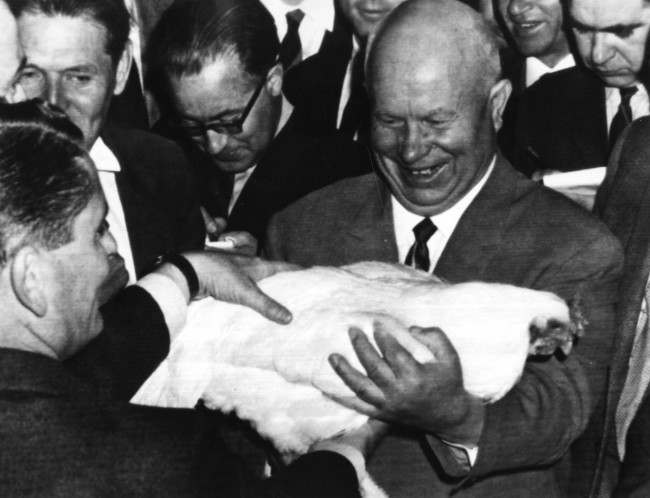 Soviet Premier Nikita Khrushchev laughs at his mistake in first identifying this ten pound Cornish cock as a hen during his visit to the British Agriculture Fair in Moscow, Russia on May 28, 1964