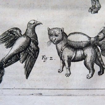 16th Century German War Guide Teaches How To Make Flying Cats Bombs (Photos)