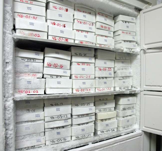 Frozen blood, serum and urine samples are shown stored in freezers at Brooks City Base in San Antonio, Texas, Wednesday, June 6, 2007. Thousands of small white boxes containing samples of blood, serum and urine are all that remain of a 25-year, $143 million program to find out if the herbicide Agent Orange made Vietnam War veterans sick. 