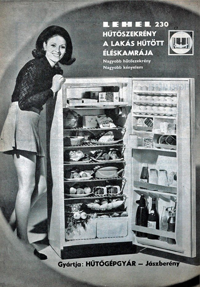 vintage appliance (7)