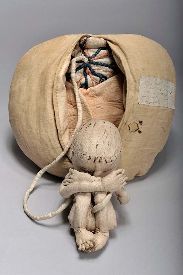 knitted womb Angelique Marguerite Le Boursier du Coudray