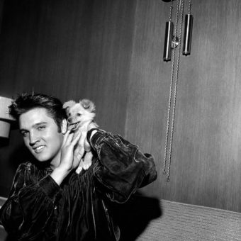 Elvis Presley After His Arrest With Sweet Pea The Dog: 1956