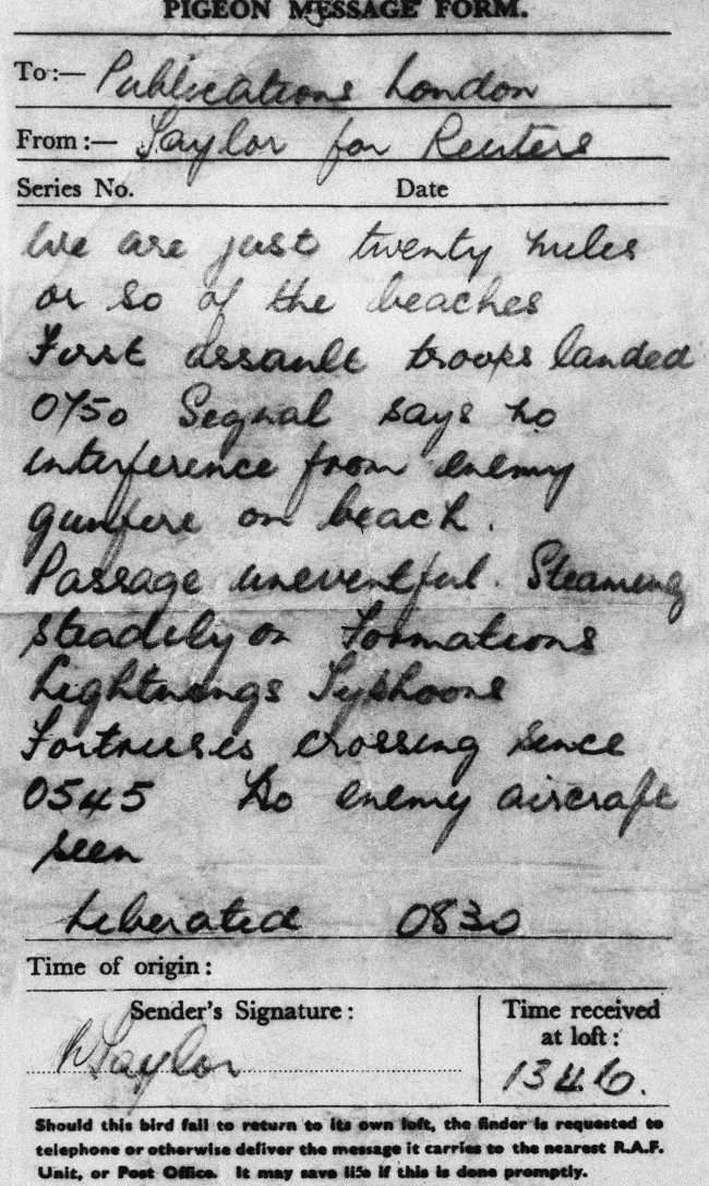Gustav the Pigeon's report from the beaches of Normandy, 6 June, 1944.