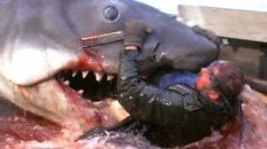 jaws7