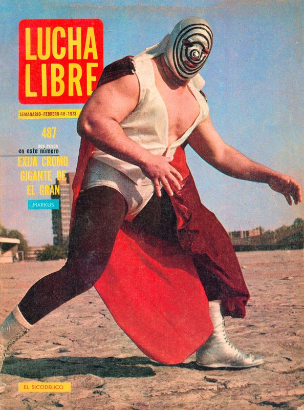 vintage lucha libre