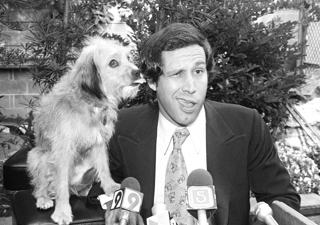 Comedian Chevy Chase gets a kiss on his ear from co-star Benji as the two held a press conference in Los Angeles, Sept. 6, 1979, at which they announced their up-coming movie "Oh Heavenly Dog" would begin filming this month. The film will be shot on location in London, Berlin and Paris; but due to British quarantine laws a double will be used for Benji at the London location. (AP Photo/Nick Ut) Ref #: PA.7182985  Date: 06/09/1979