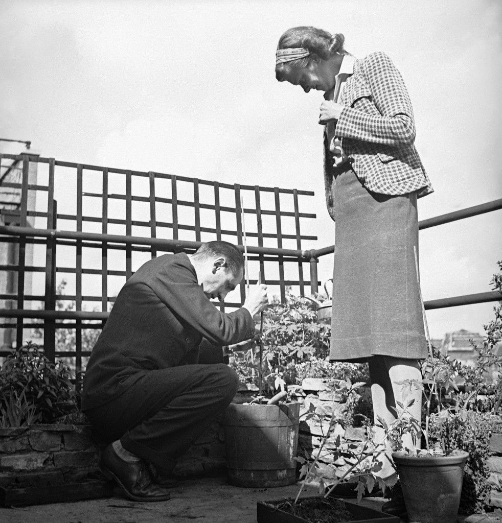 Robert Bunnelle, Chief of the London Bureau of the Associated Press, sets out a young tomato plant in an old butter tub in the roof garden of the apartment house in London on June 10, 1942 where he lived through the 1940-41 German blitz on the city, while Mrs. Bunnelle looks on with critical eye. Tomatoes sell for fifteen cents a pound in wartime London. The Bunnelles apartment is in the central London District of Kensington. (AP Photo)