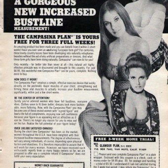 Build a Bigger Bustline! 1970s Adverts for Gaining Precious Inches and a Better Life