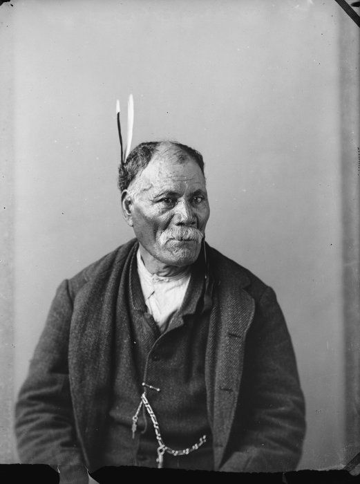 Carte de visite portrait of Erika, a Maori man from Hawkes Bay, taken between 1885 and 1900 by Samuel Carnell of Napier.