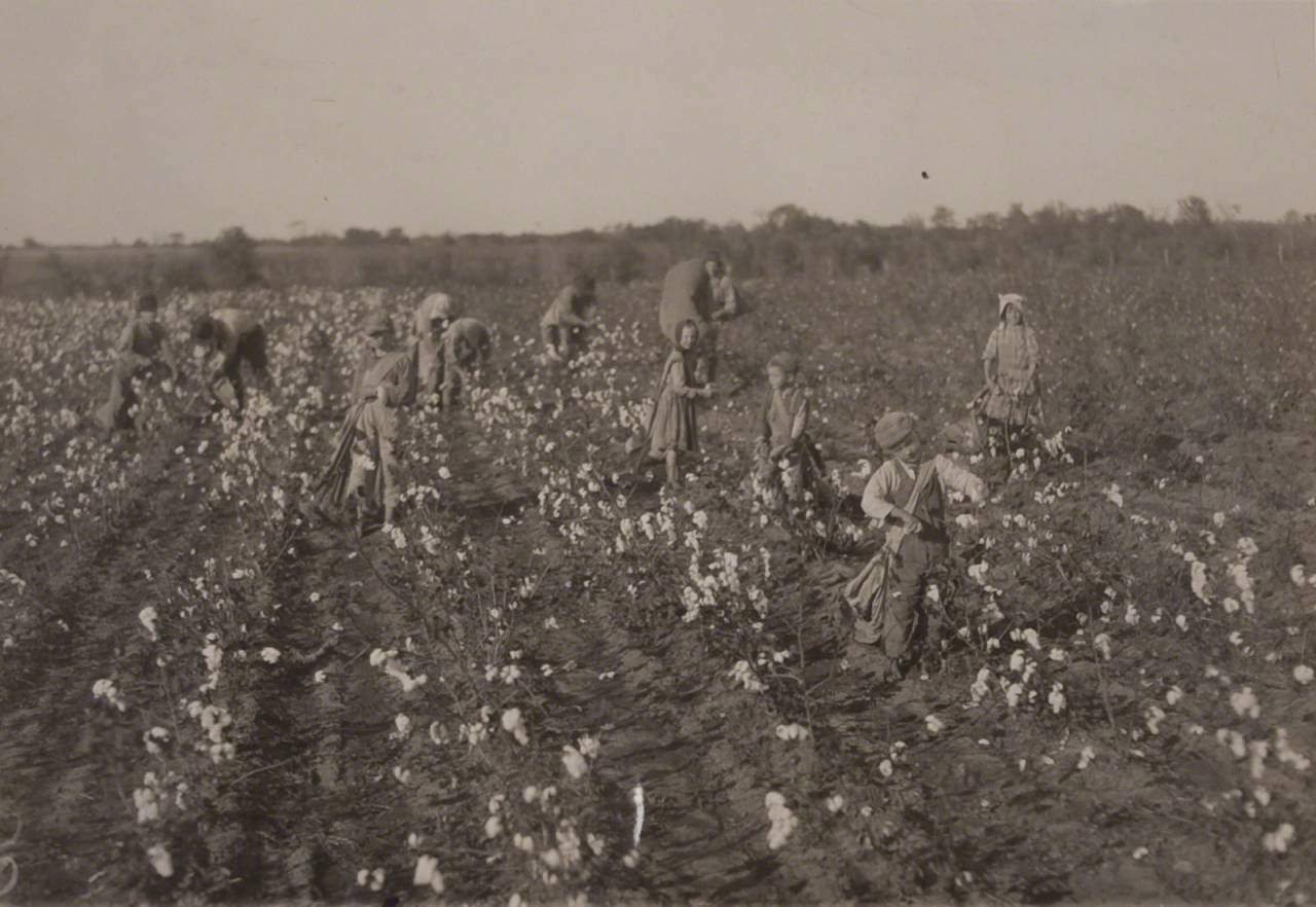 Cotton Pickers
