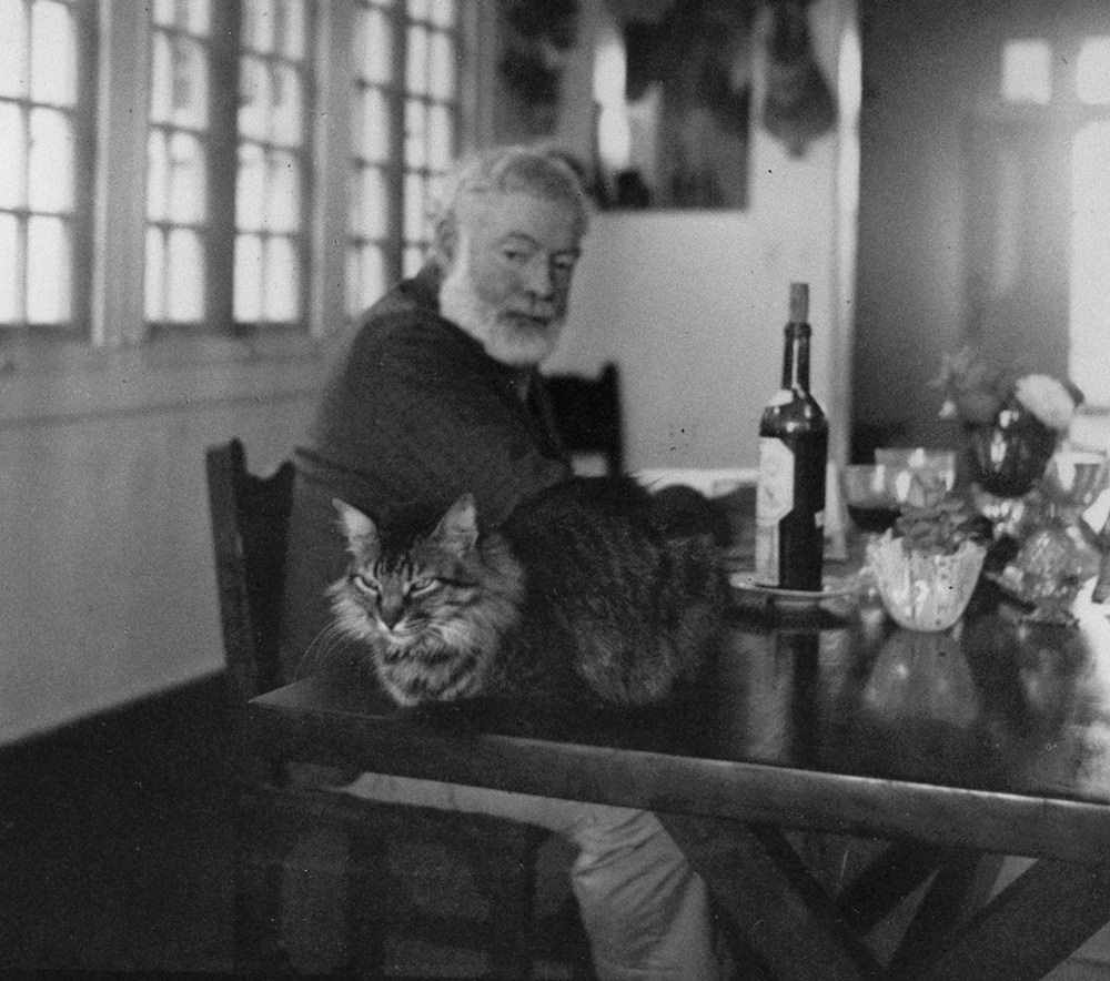 EH3941P Ernest Hemingway looks at his cat sitting near him on the table at the Finca Vigia, Cuba.  Photographer unknown in the John F. Kennedy Presidential Library and Museum, Boston.