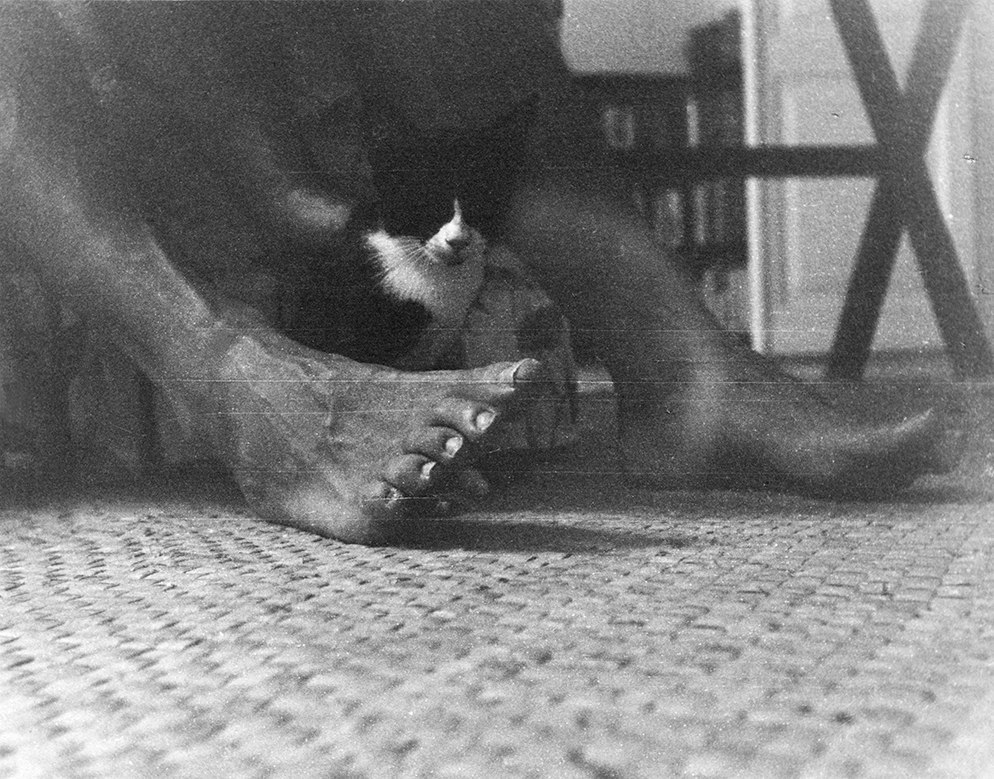 EH4075P     Date Unknown A kitten sits between Ernest Hemingway's feet at Finca Vigia.