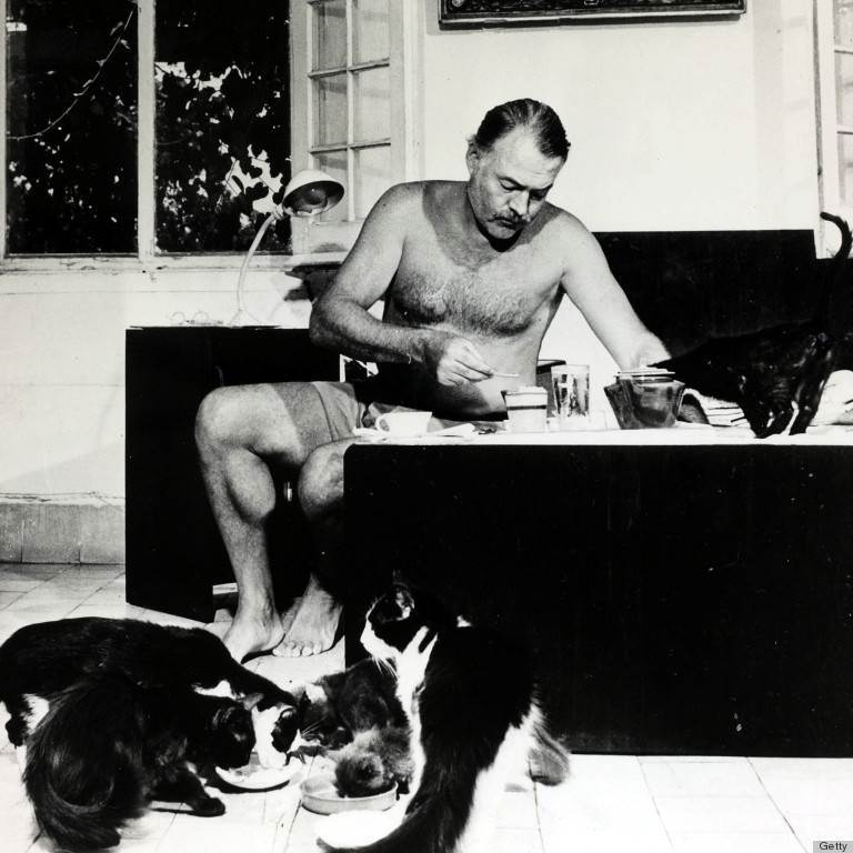 Literature Personalities. pic: circa 1940's. Author Ernest Hemingway pictured at breakfast with a group of cats feeding at his feet. Ernest Hemingway, (1899-1961) US writer of novels and short stories and Nobel Prize winner, was also a keen sportsman. He