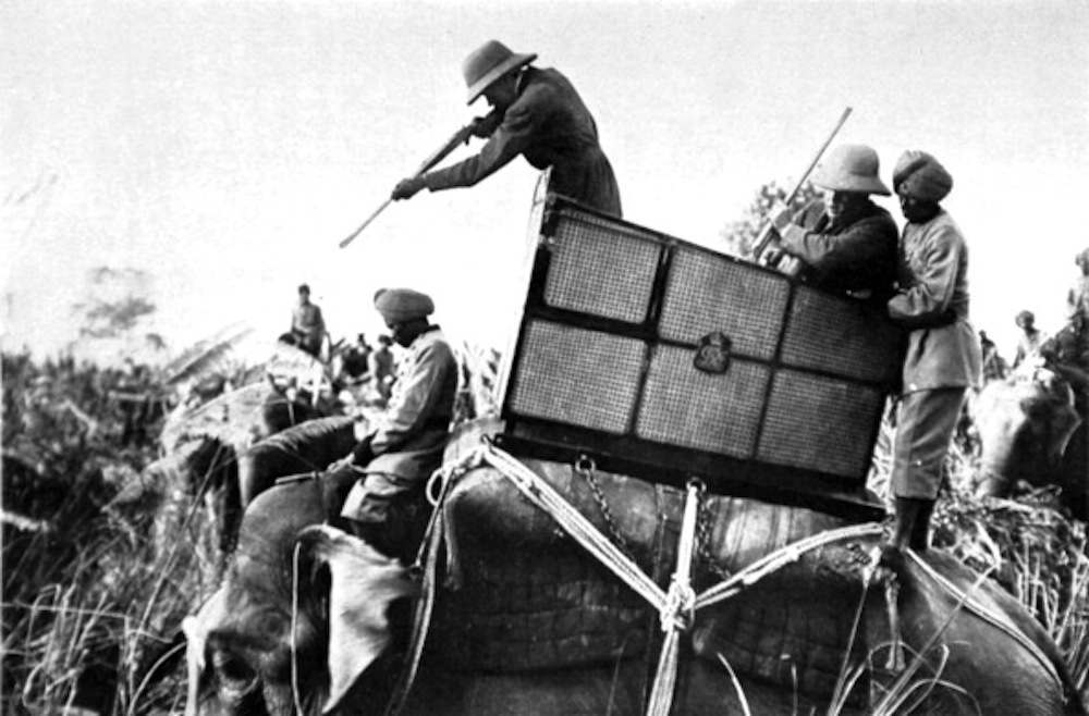 Image of King George V Shooting Tigers in Nepal, 1911 (b/w photo