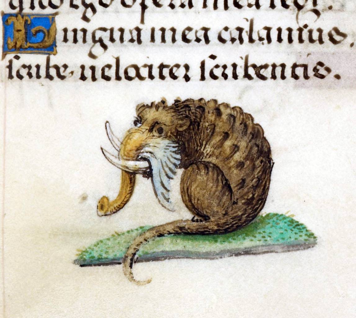 ‘Hours of Joanna the Mad’, Bruges 1486-1506 BL, Add 18852, fol. 203r