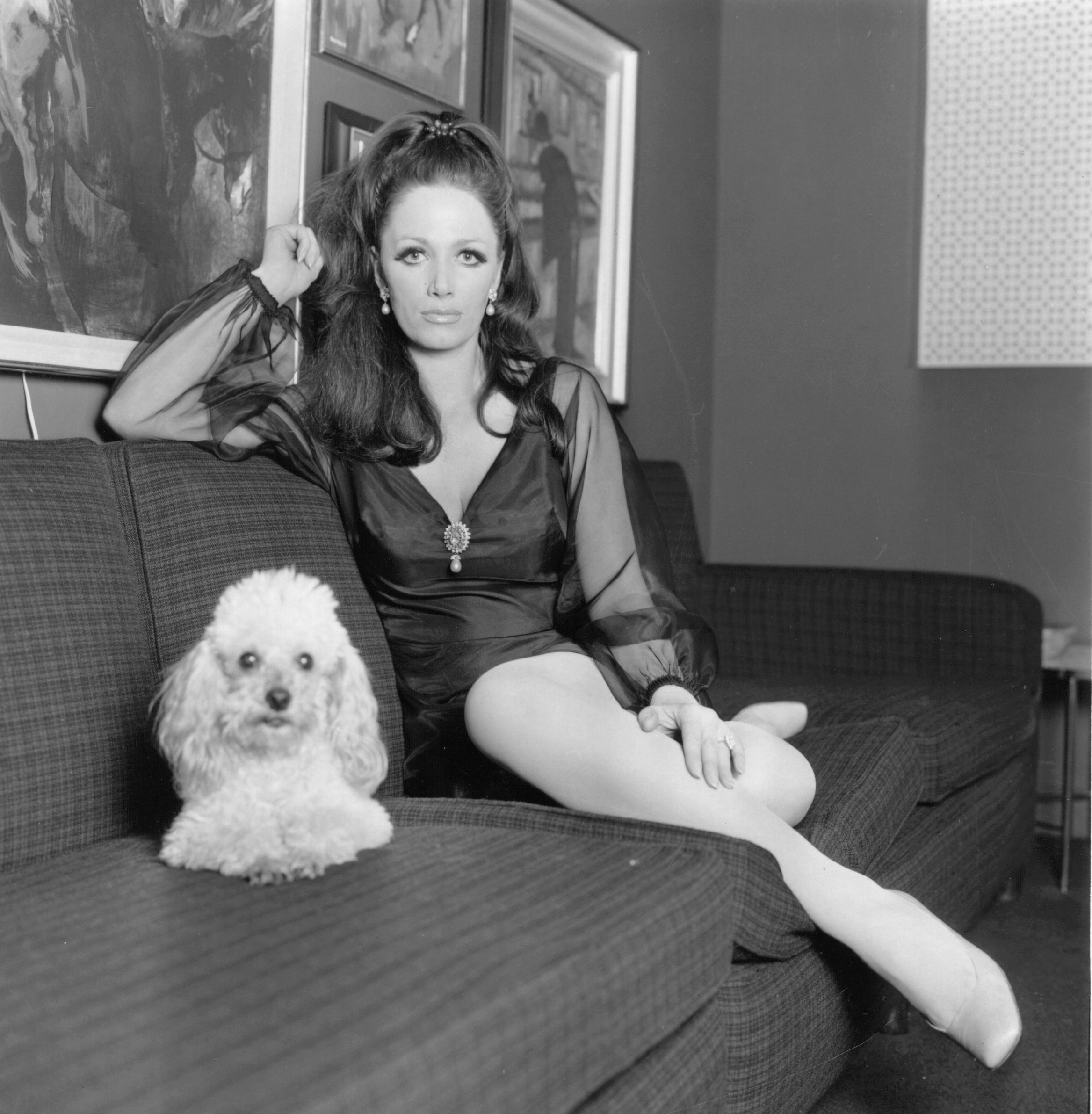 3rd February 1968:  Writer and actress, Jackie Collins, at home with her pet poodle.  (Photo by Express/Express/Getty Images)