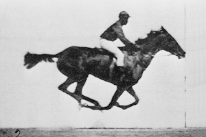 Galloping horse, animated in 2006, using photos by Eadweard Muybridge
