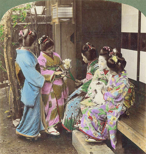 sumo stereoview 9
