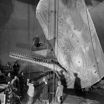 Filming Moby Dick At Elstree Film Studios And Ireland (1954)