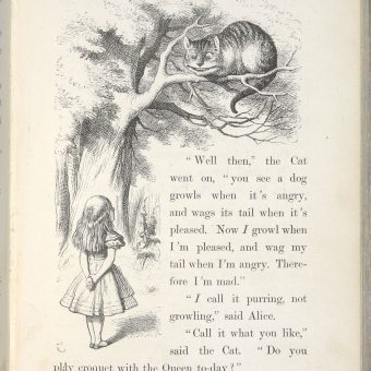 john-tenniel-illustration-alice-cheshire-cat-alice-adventures-in ...