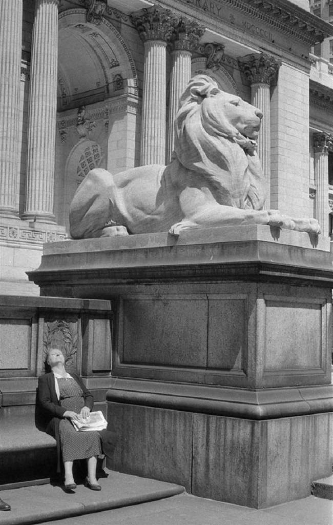 A woman suns herself outside the entrance to the New York Public Library in 1955 in this photo, called "Lady and the Lion."