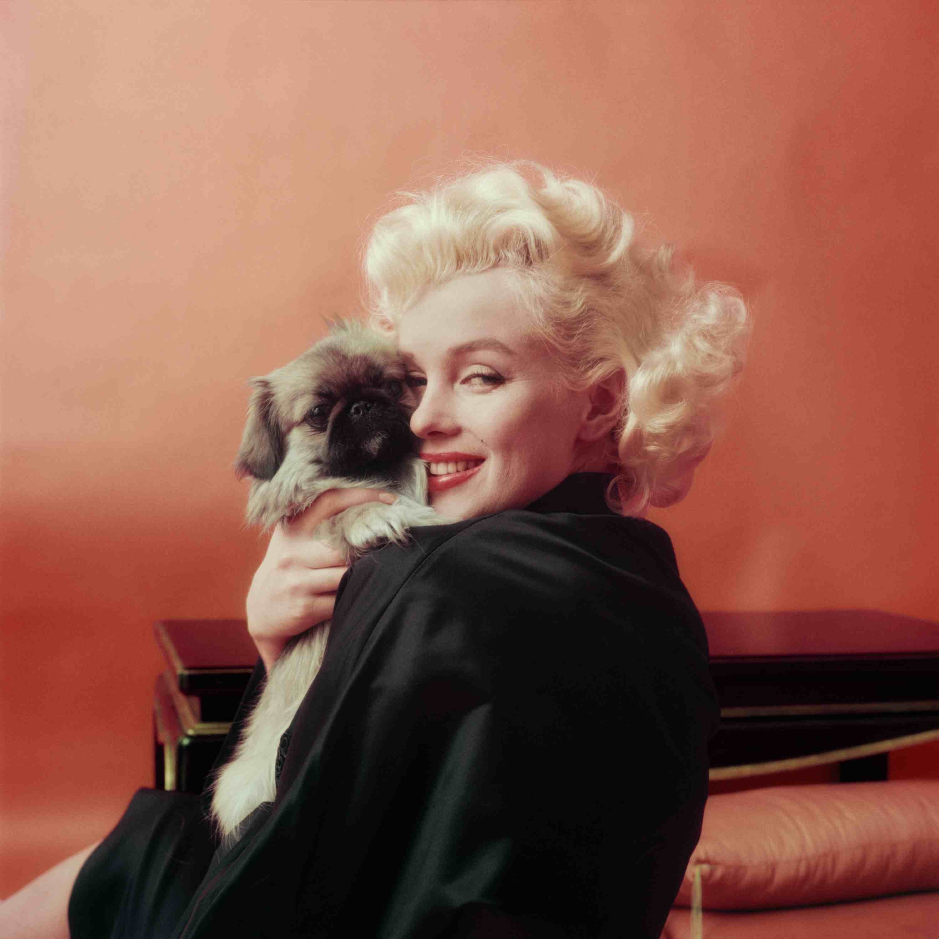 Marilyn Goes Oriental With A Pekenese Dog, NY, 1955 © Milton H Greene