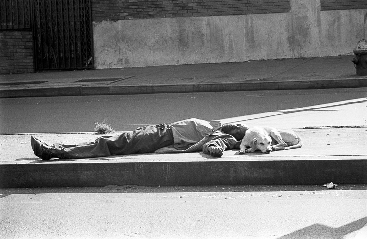 Man and Dog - Flashbak