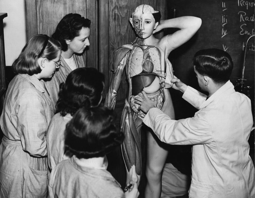 7th October 1938:  Trainee nurses examine a model of a human body to learn anatomy.  (Photo by Gerry Cranham/Fox Photos/Getty Images)