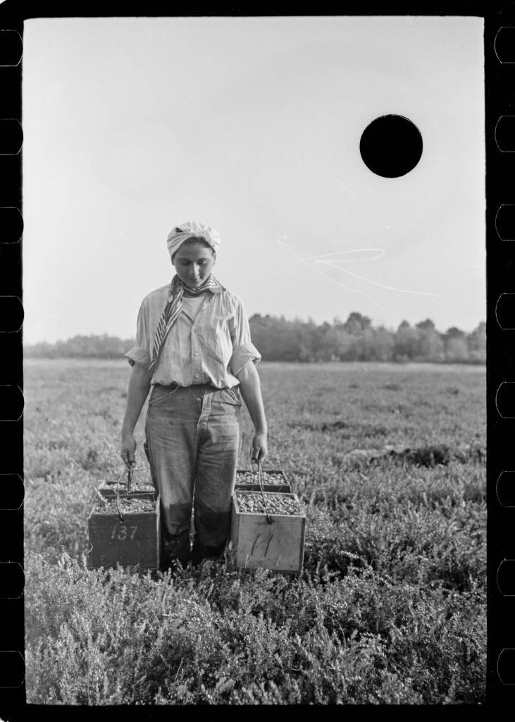 Roy Stryker FSA black hole photos FSA images of Depression-era America. 