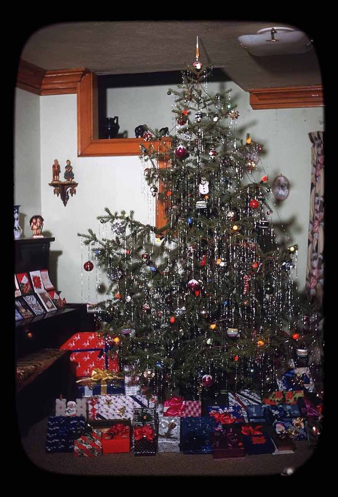 Xmas Tree December 25, 1954