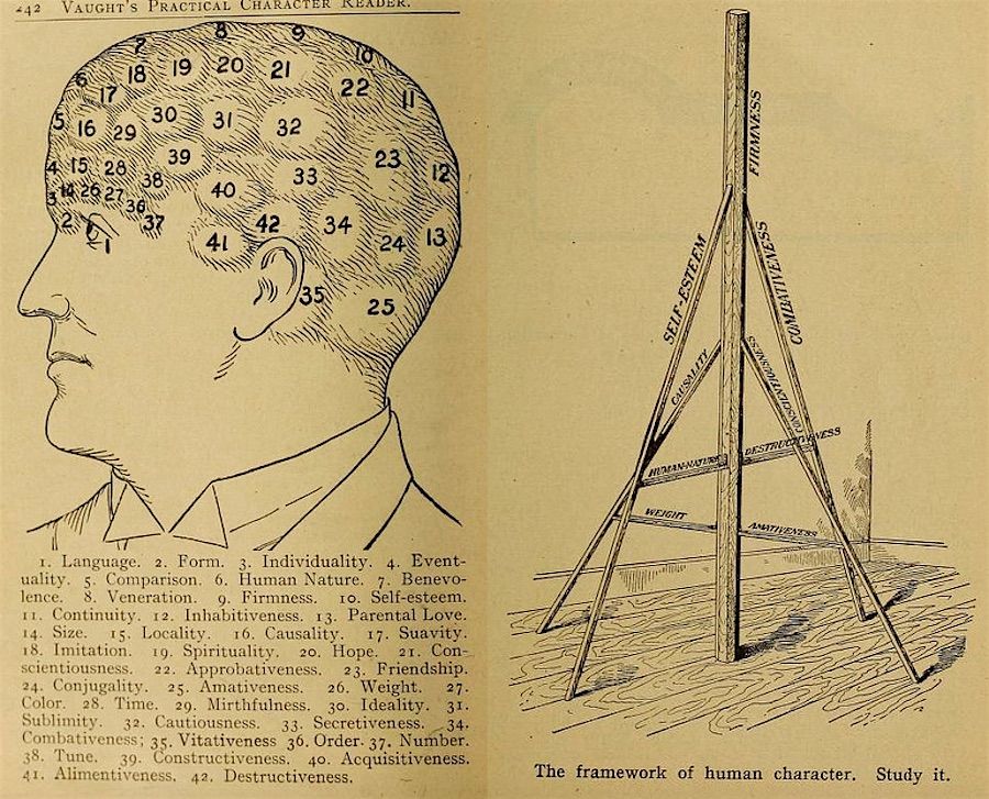 Vintage Phrenology Book Occult Character Reading Phrenology Head