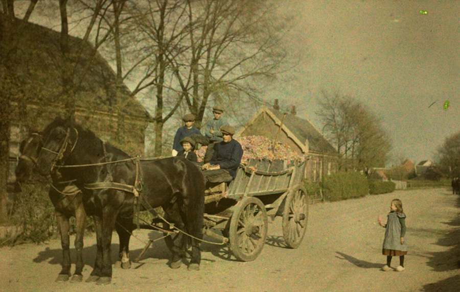 Alfonse Van Besten, Farmers on cart c. 1912