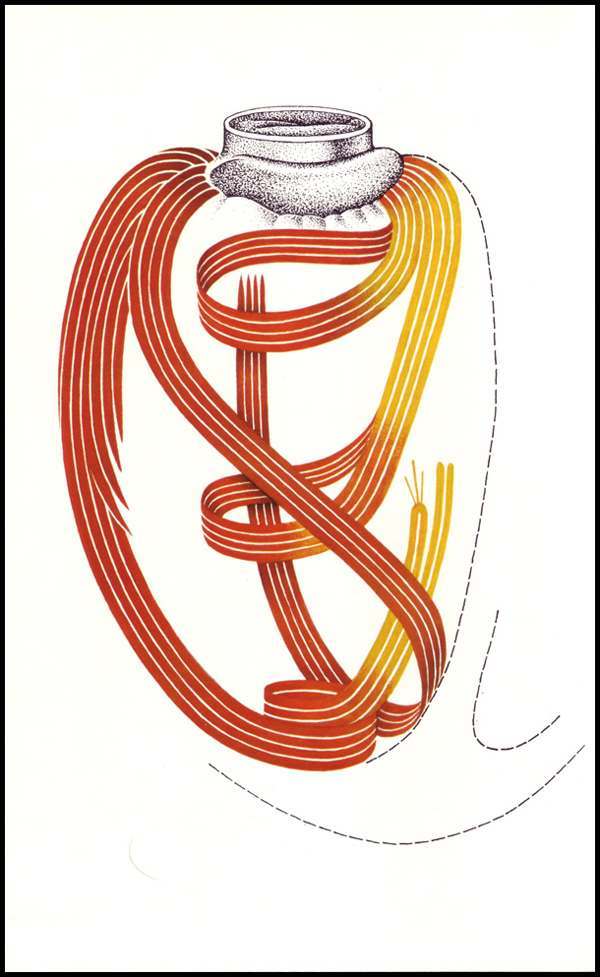 Les faisceaux musculaires du coeur, illus. Broutin, after A. Bertolasi