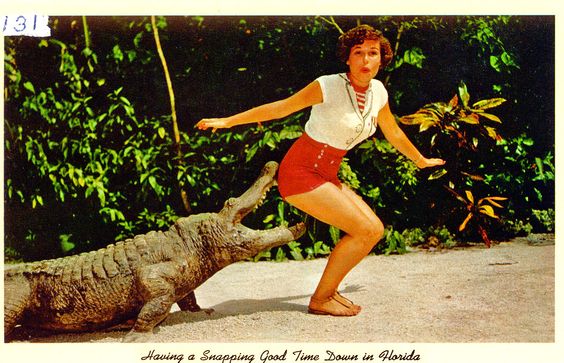 Florida postcards sexy alligators women