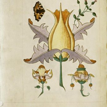 The Tudor Pattern Book (1520)