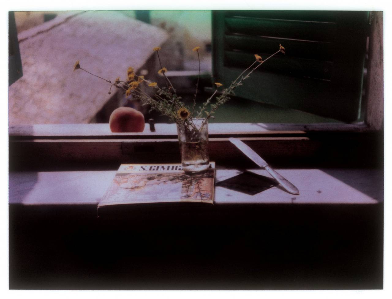 ANDREI TARKOVSKY'S POLAROIDS‎ dsdf