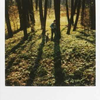 Andrei Tarkovsky’s Sublime Polaroids‎ (And Free Films)