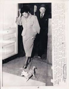 Lady Day And Mister: Billy Holiday's Canine Partners In Crime - Flashbak